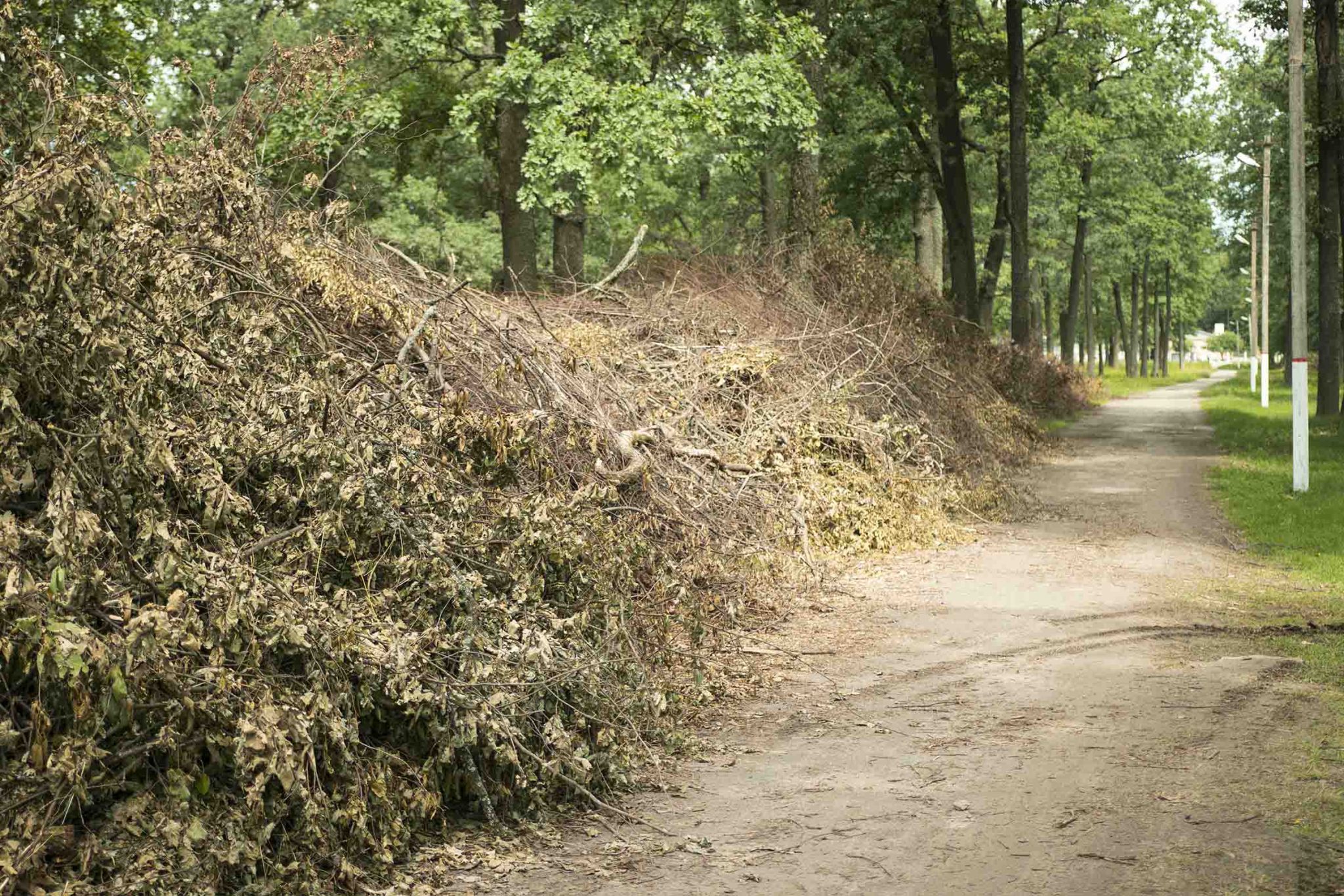 Подрібнювач гілок АМ-120БД-К в військовій частині 2