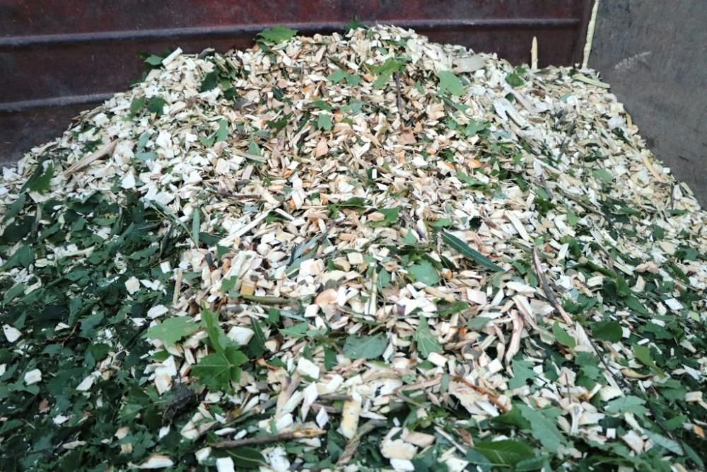 Подрібнювач гілок для отримання сертифікату FSC 5 Щепа