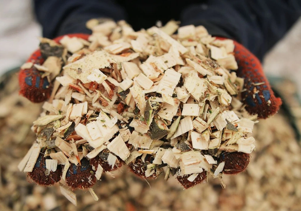 Wood chips