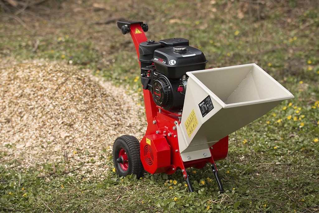 Щепоріз садовий