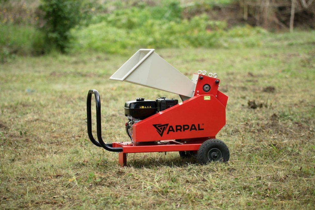 Веткоруб садовый