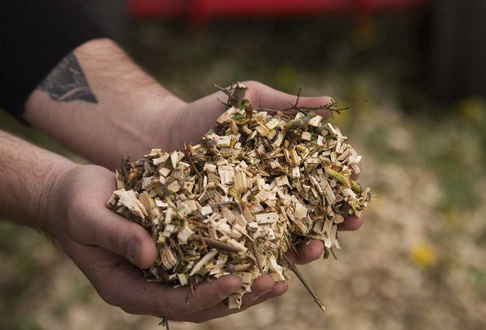 Ножовий чи фрезерний подрібнювач? Поради щодо вибору 9