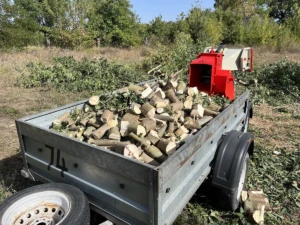 подрібнювач гілок для весняної обрізки дерев