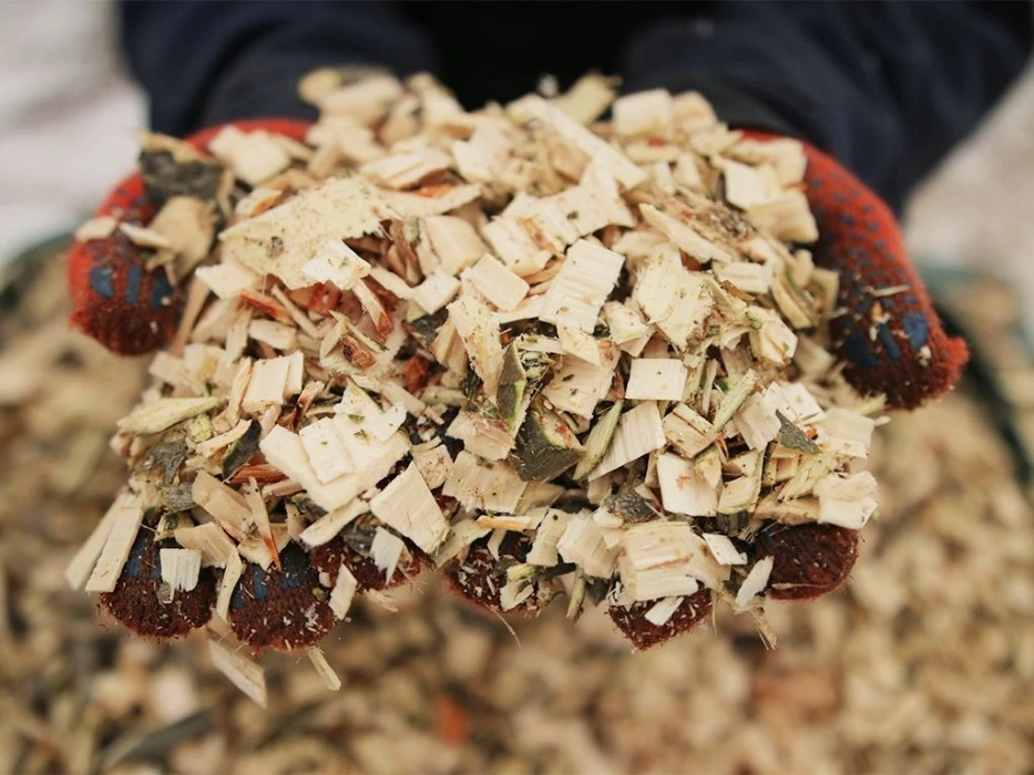 Штраф за спалювання гілок та листя: як законно позбутися садових відходів 1 подрібнення гілок щепорізом